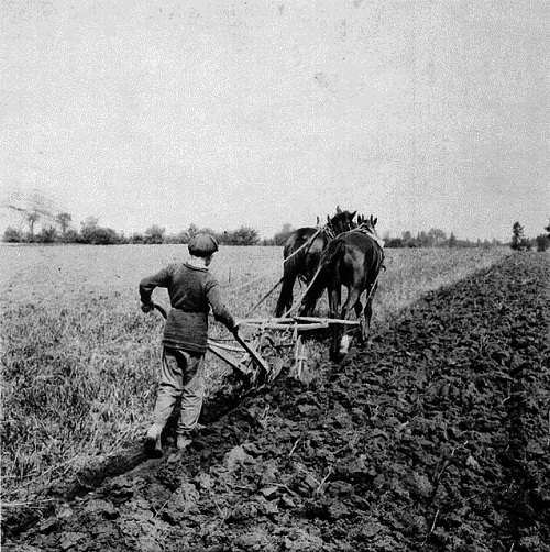 Boy Plowing